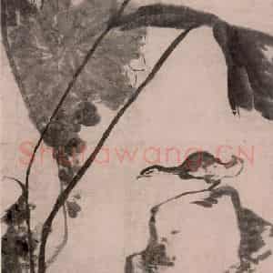 清代 朱耷《荷鸭图轴》国画花鸟作品图片鉴赏