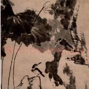 清代 朱耷《荷花双鸟图轴》国画花鸟作品图片鉴赏