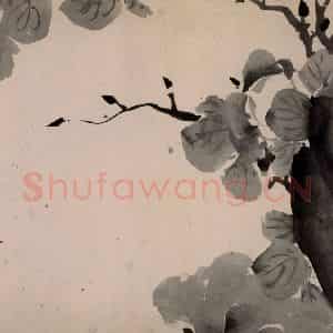 清代 朱耷《墨花册》国画花鸟作品图片鉴赏