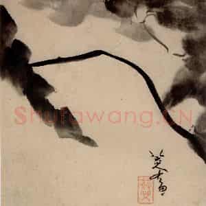 清代 朱耷《书画册》国画花鸟作品图片鉴赏