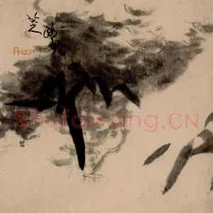 清代 朱耷《书画册》国画花鸟作品图片鉴赏