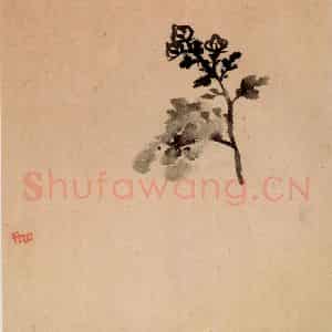 清代 朱耷《花果册》国画花鸟作品图片鉴赏