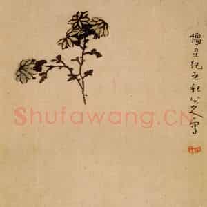 清代 朱耷《花果册》国画花鸟作品图片鉴赏