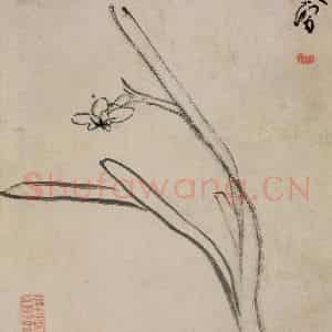 清代 朱耷《书画册》国画花鸟作品图片鉴赏