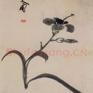 清代 朱耷《书画册》国画花鸟作品图片鉴赏