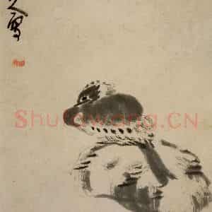 清代 朱耷《书画册》国画花鸟作品图片鉴赏