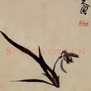清代 朱耷《书画册》国画花鸟作品图片鉴赏