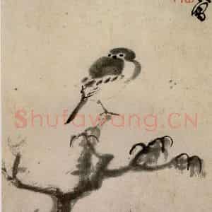 清代 朱耷《书画册》国画花鸟作品图片鉴赏