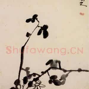 清代 朱耷《花鸟册》国画花鸟作品图片鉴赏