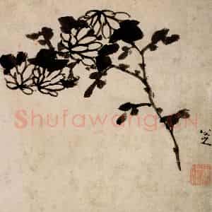 清代 朱耷《花鸟册》国画花鸟作品图片鉴赏