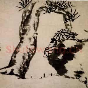 清代 朱耷《苍松菊石图页》国画花鸟作品图片鉴赏