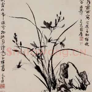 1965年 谢稚柳《幽兰图》国画花鸟作品图片鉴赏