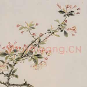 1966年 谢稚柳《海棠白头图》国画花鸟作品图片鉴赏