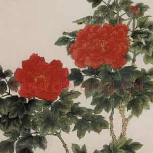 1972年 谢稚柳《牡丹图》国画花鸟作品图片鉴赏