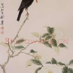 1973年 谢稚柳《山茶寒雀图》国画花鸟作品图片鉴赏