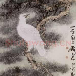 1974年 谢稚柳《白鸢青松图》国画花鸟作品图片鉴赏