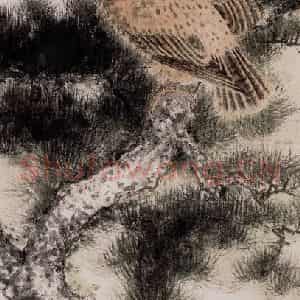 1975年 谢稚柳《松鹰图》国画花鸟作品图片鉴赏