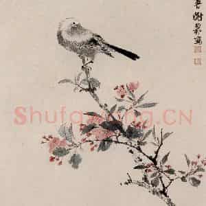 1958年 谢稚柳《海棠春鸟图》国画花鸟作品图片鉴赏