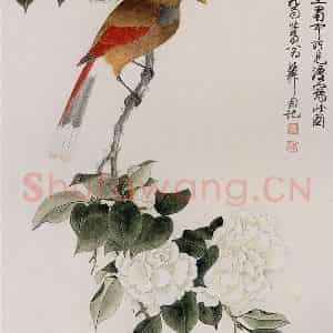 1959年 谢稚柳《红衣画眉图》国画花鸟作品图片鉴赏