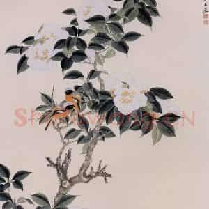 1959年 谢稚柳《白山茶图》国画花鸟作品图片鉴赏