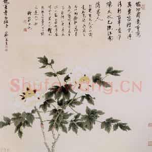 1959年 谢稚柳《龙华寺白牡丹图》国画花鸟作品图片鉴赏