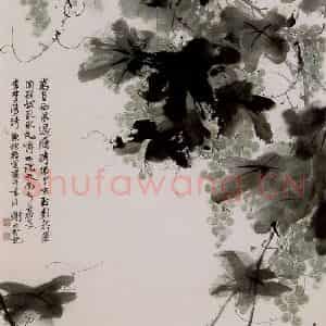 六十年代 谢稚柳《葡萄图》国画花鸟作品图片鉴赏