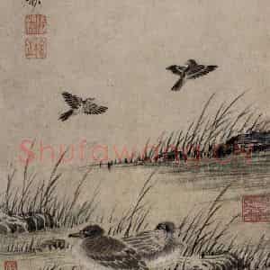 清代 张穆《翎毛珍兽图册》国画花鸟作品图片鉴赏