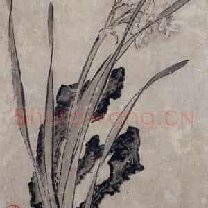 清代 张穆《珍兽花卉图册》国画花鸟作品图片鉴赏