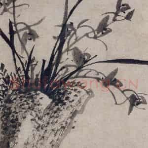 清代 张穆《珍兽花卉图册》国画花鸟作品图片鉴赏