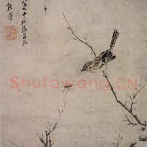 清代 张穆《麻雀图斗方》国画花鸟作品图片鉴赏