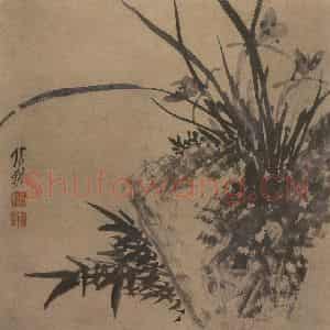 清代 张穆《籣竹文石图册》国画花鸟作品图片鉴赏