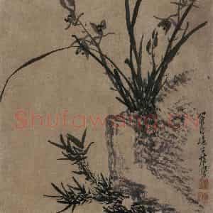 清代 张穆《籣竹文石图册》国画花鸟作品图片鉴赏
