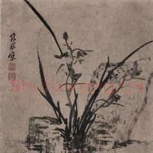 清代 张穆《籣竹文石图册》国画花鸟作品图片鉴赏
