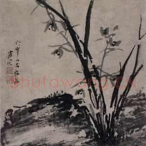 清代 张穆《籣竹文石图册》国画花鸟作品图片鉴赏