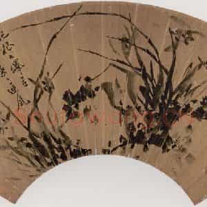清代 张嘉谟《籣花图扇面》国画花鸟作品图片鉴赏