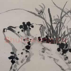 清代 张嘉谟《籣石图册》国画花鸟作品图片鉴赏
