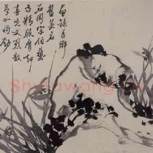 清代 张嘉谟《籣石图册》国画花鸟作品图片鉴赏