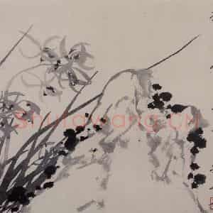 清代 张嘉谟《籣石图册》国画花鸟作品图片鉴赏