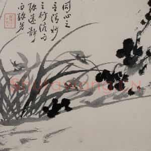 清代 张嘉谟《籣石图册》国画花鸟作品图片鉴赏