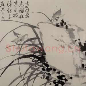 清代 张嘉谟《籣石图册》国画花鸟作品图片鉴赏