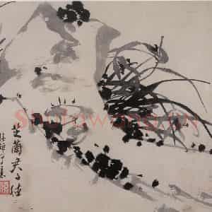 清代 张嘉谟《籣石图册》国画花鸟作品图片鉴赏