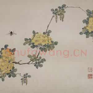 清代 张嘉谟《花卉草丛图册》国画花鸟作品图片鉴赏