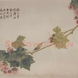 清代 张嘉谟《花卉草丛图册》国画花鸟作品图片鉴赏
