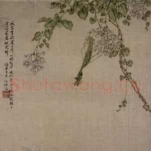 清代 张崇光《花卉草丛图册》国画花鸟作品图片鉴赏