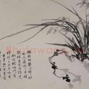 清代 张崇光《籣石图册页》国画花鸟作品图片鉴赏