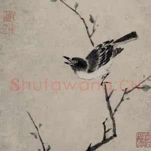 清代 张穆《翎毛珍兽图册》国画花鸟作品图片鉴赏