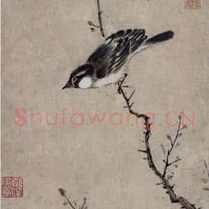 清代 张穆《翎毛珍兽图册》国画花鸟作品图片鉴赏