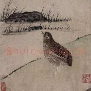清代 张穆《翎毛珍兽图册》国画花鸟作品图片鉴赏