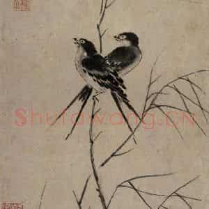 清代 张穆《翎毛珍兽图册》国画花鸟作品图片鉴赏