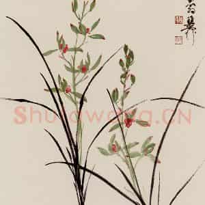 谢稚柳《兰花图》国画花鸟作品图片鉴赏